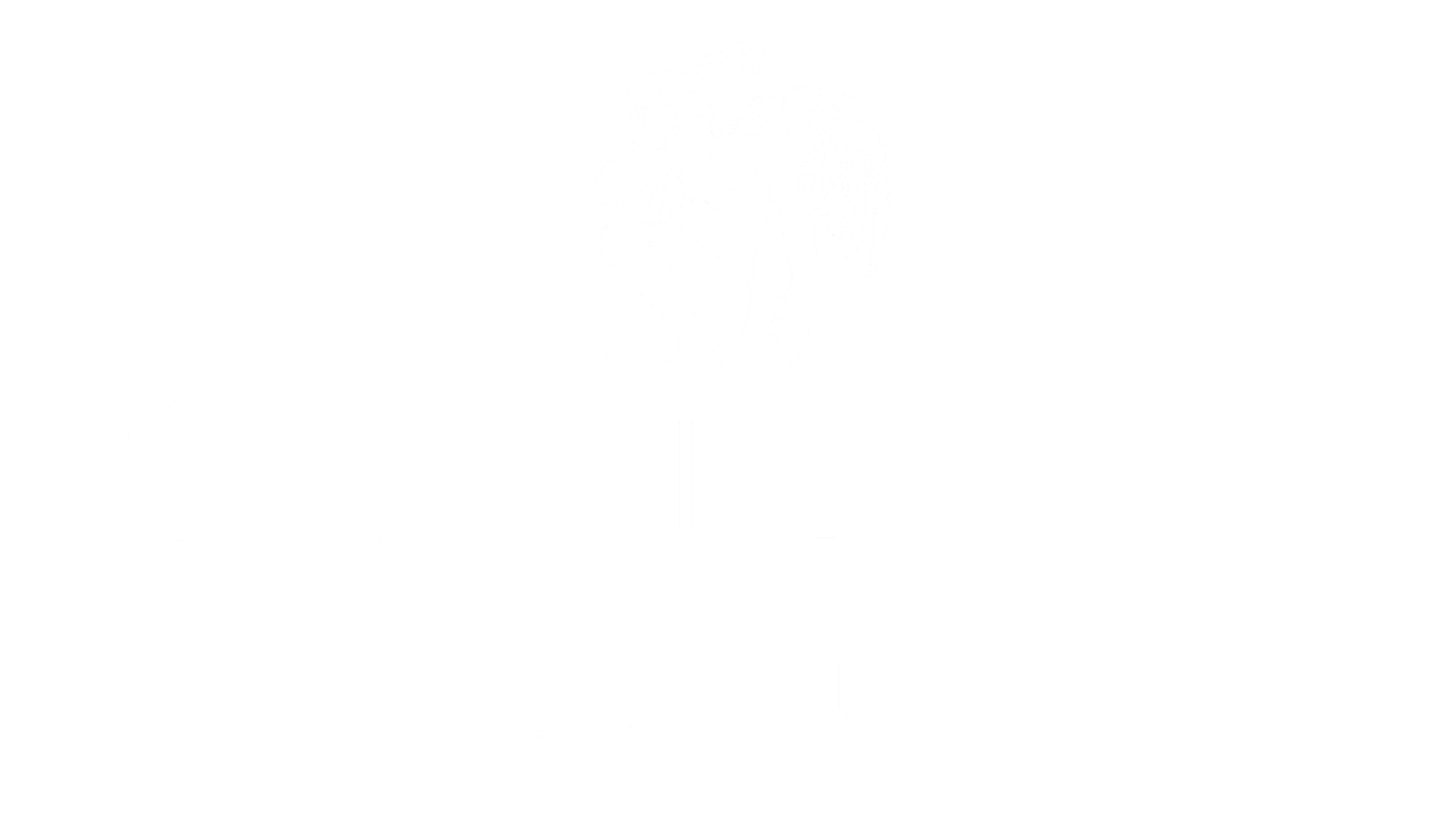 Virginie Saintenoy - Sculpteur